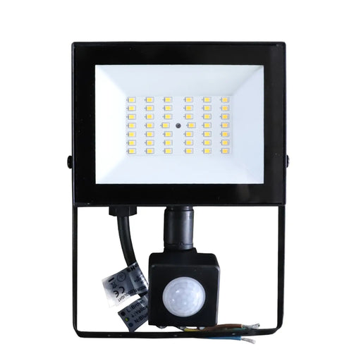 Securlec LED Floodlight 30w