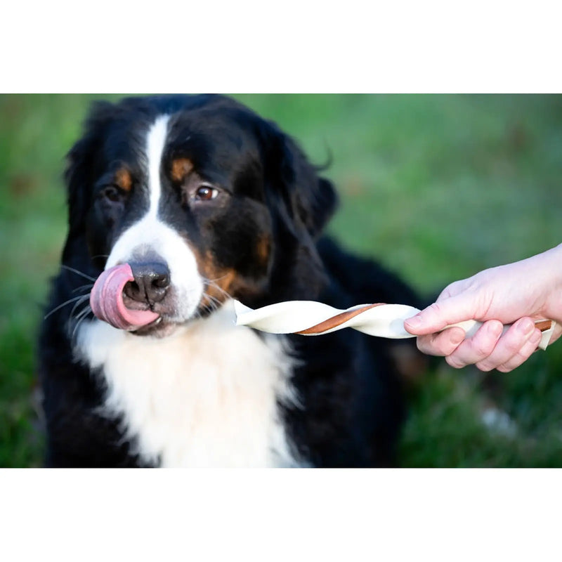 ROSEWOOD Twisters With Chicken Dog Treats Large