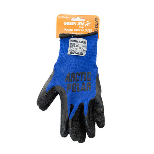 Polar Gloves - Medium - Blue - Pack of 5