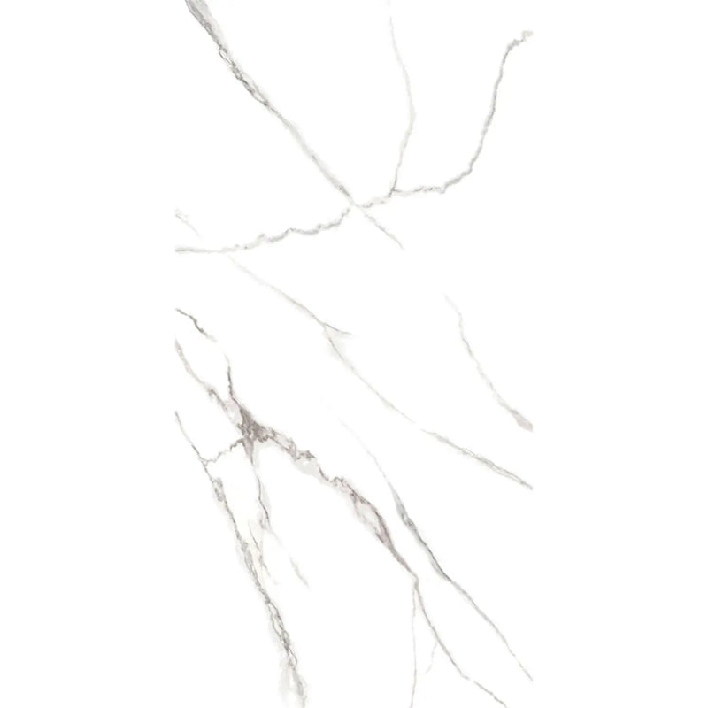 Golden Tile Nero E Bianco Gloss Wall Tile 300 x 600 x 9mm 1.44m2