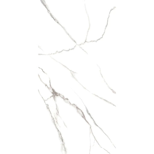 Golden Tile Nero E Bianco Gloss Wall Tile 300 x 600 x 9mm 1.44m2