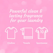 Asevi Laundry Detergent 2.4L Rosehip