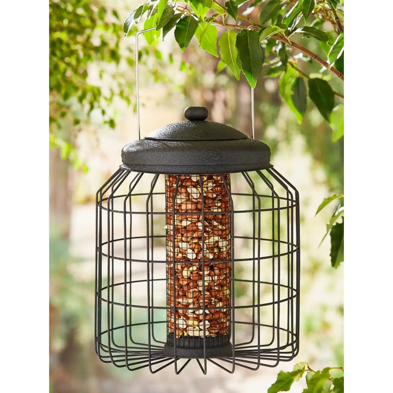 Ambassador Heavy Duty Black Squirrel Proof Peanut Feeder
