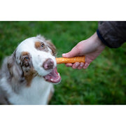 ROSEWOOD Chewy Sticks With Chicken 4 Piece Medium
