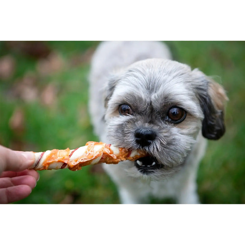 ROSEWOOD Trio Stick With Chicken Dog Treats Medium