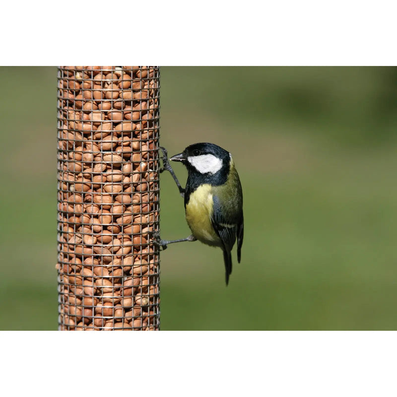Rspb Peanuts 1.8kg