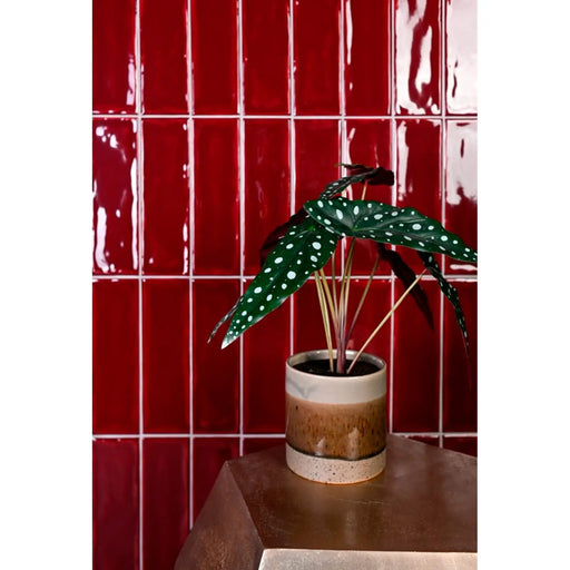 Johnson Tiles 1901 Minton Garnet Wall Tile 245 x 75mm 0.99m2