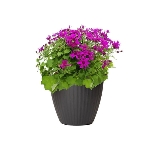 Garden Central Madison Ribbed Slate Planter 37 x 37 x 57cm