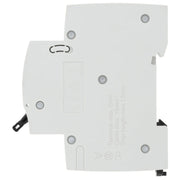 BG 10a Type B Mcb