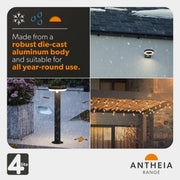 4Lite Antheia Festoon Lights 3m