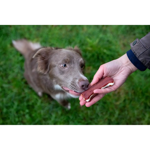ROSEWOOD Chewy Bones With Duck Medium