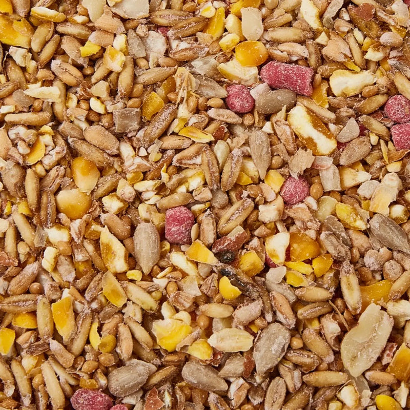 Ambassador Hi Energy No Mess Bird Seed with Suet Pellets 12.6kg