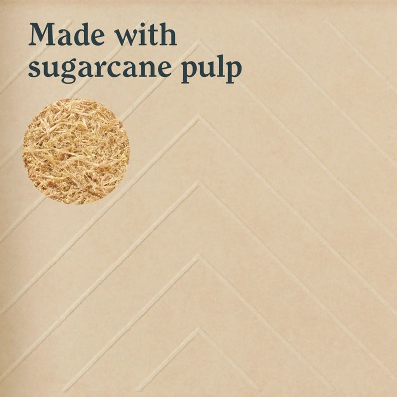 LickTools Eco Bio-Degradable Sugar Cane Paint Tray 9"