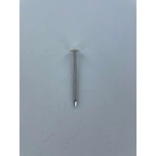 Securfix Stainless Steel Plastic Headed Nail White 65mm 50 Pack