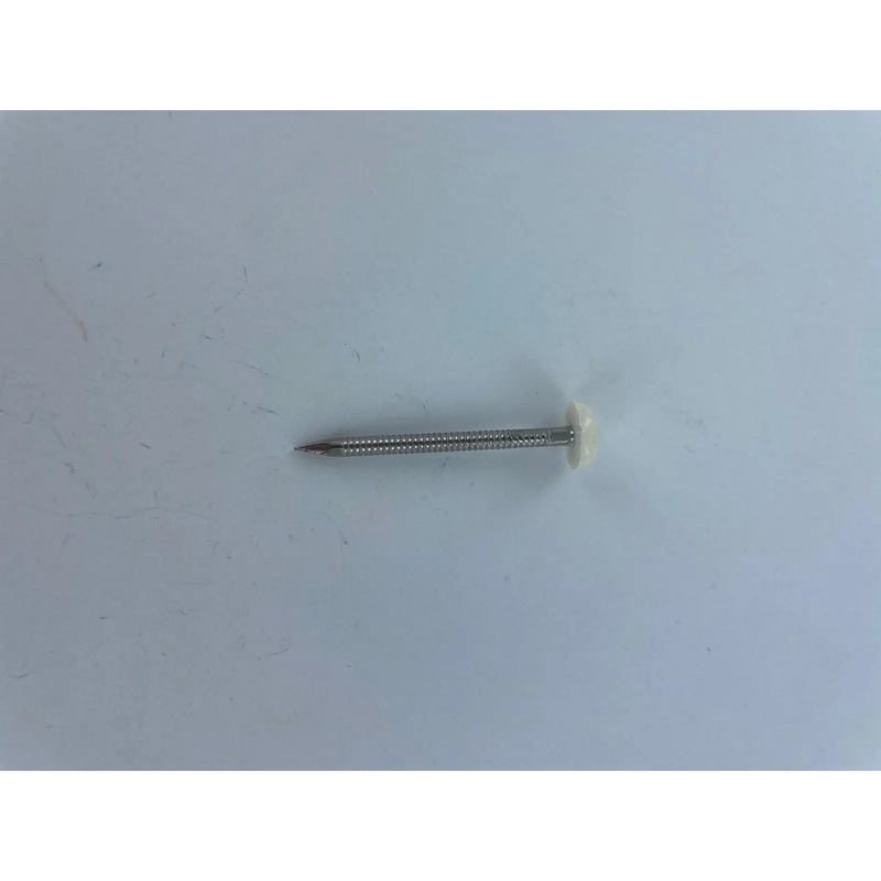 Securfix Stainless Steel Plastic Headed Nail White 50mm 50 Pack