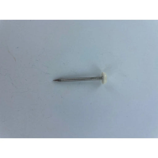 Securfix Stainless Steel Plastic Headed Nail White 50mm 50 Pack