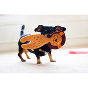 ROSEWOOD Eco Friendly Lion Dog Toy