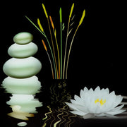 SP Glass Splashback 600 x 750mm Water Lily
