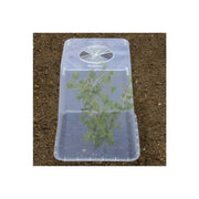 Garland Square Cloche Cover 32cm