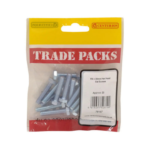 Hex Head Set Screws - Zinc Plated - M6 x 30mm - (20 PK)