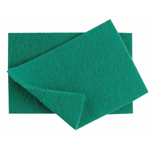 Robert Scott Industrial Green Scouring Pads Pack 10