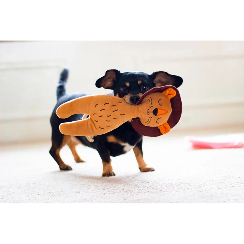 ROSEWOOD Eco Friendly Lion Dog Toy