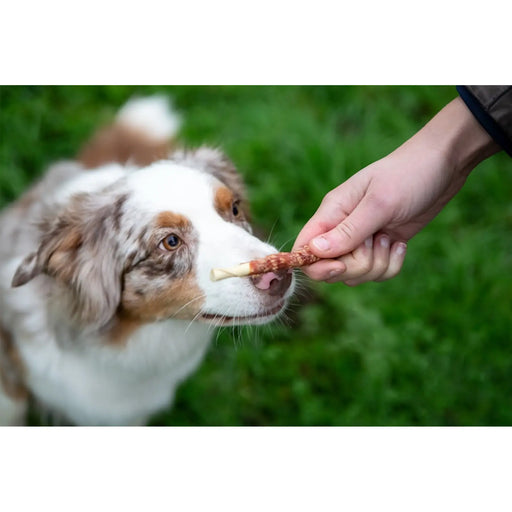 ROSEWOOD Chewy Sticks With Beef Dog Treats 8 Pieces