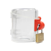 Radiator TRV Lockout with Padlock