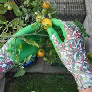Town & Country Ladies Chilli Gloves Triple Pack