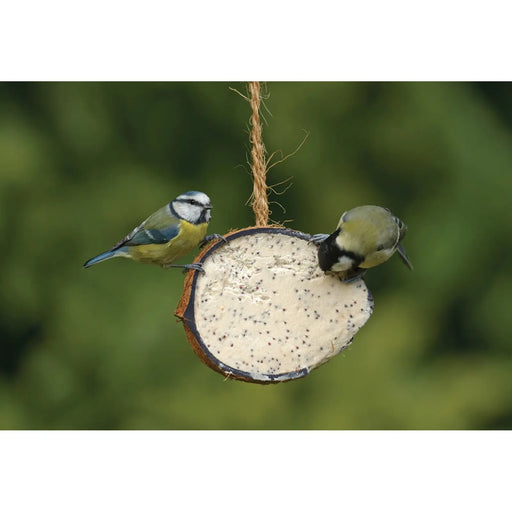 Rspb Coconut Treat 320g