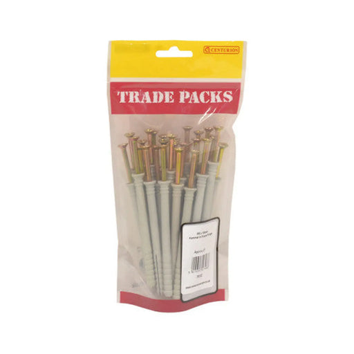 Hammer In Frame Fixings - Zinc Plated - M8 x 100mm - (22 PK) - Pack of 5