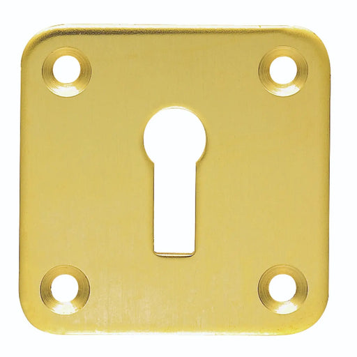 Victorian Lock Profile Square Escutcheon Face Fix - Polished Brass 51MM