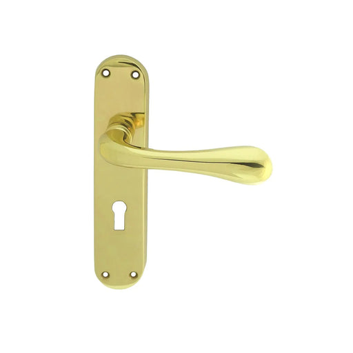 Astro Lever On Backplate - Lock 57Mm C/C Otl (Polished Brass) - Polished Brass 185MM X 40MM