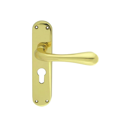 Astro Lever On Backplate - Lock Euro Profile 47.5Mm C/C Otl (Polished Brass) - Polished Brass 185MM X 41MM