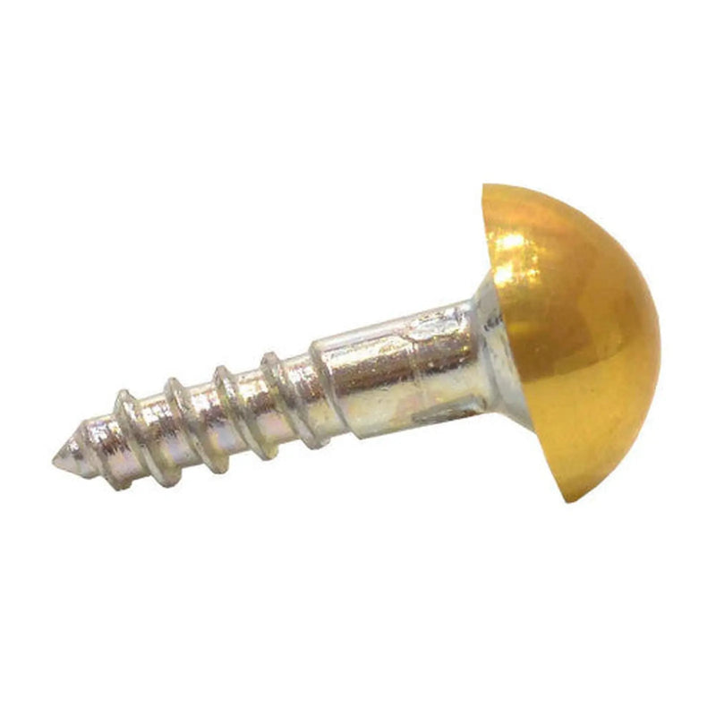 25mm x 8 EB Dome Mirror Screws  (100)