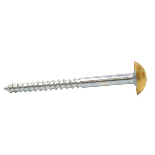 50mm x 8 EB Dome Mirror Screws  (100)