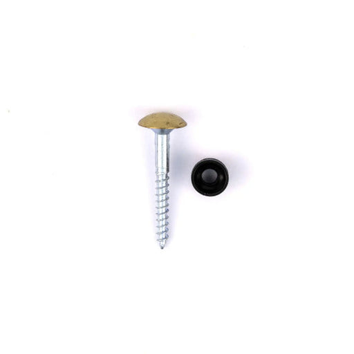 20mm x 8 EB Dome Mirror Screws   (100)