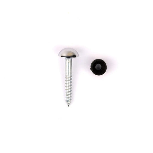 25mm x 8 CP Dome Mirror Screws   (100)