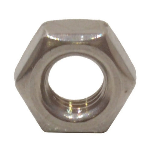 M6 SS Hex Nuts  (100)