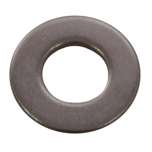 M10 SS Flat Washers   (100)