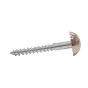 35mm x 8 CP Dome Mirror Screws   (100)