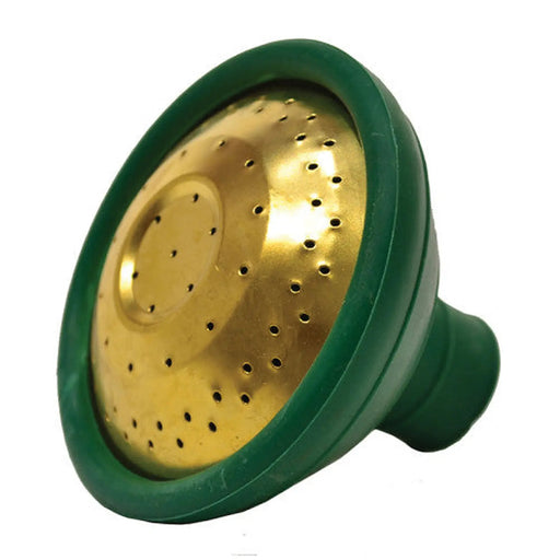 Watering Can Rose, Green - Pack of 10