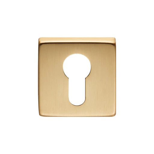 Escutcheon - Euro Profile On Concealed Fix Square Rose Osa (Satin Brass) - Satin Brass