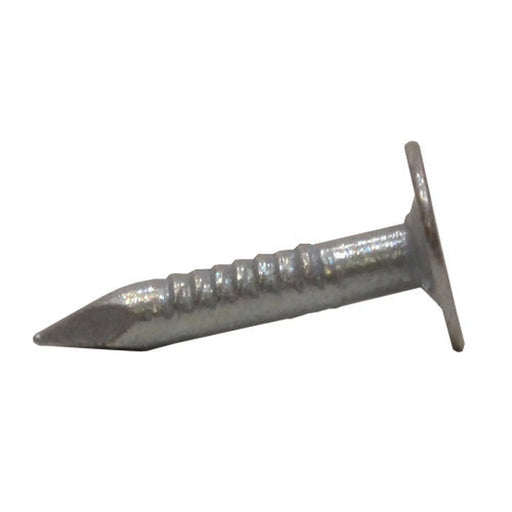 Repair Shop Large Head Clout Nails - Galvanised - 20mm - 500g - Pack of 5