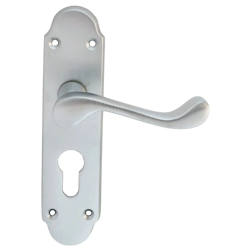 Oakley Lever On Face-Fix Backplate - Euro 47.5Mm - Satin Chrome 170MM X 42MM