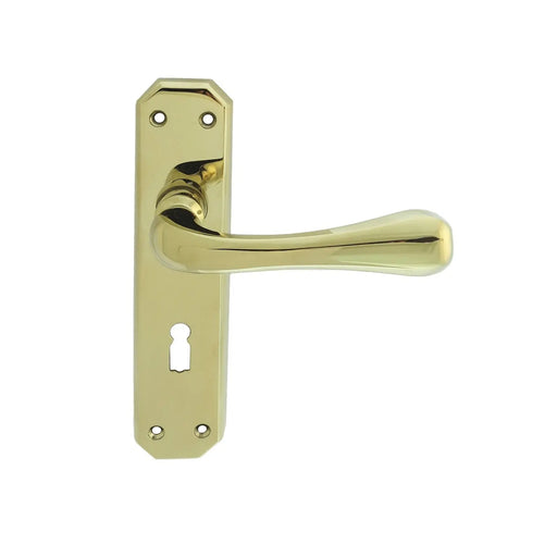 Eden Lever On Backplate - Lock 57Mm C/C - Stainless Brass 180MM X 40MM