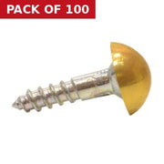 25mm x 8 EB Dome Mirror Screws  (100)