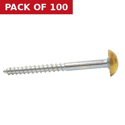 50mm x 8 EB Dome Mirror Screws  (100)