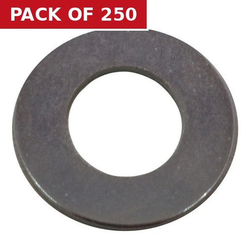 M10 ZP Flat Washers   (250)