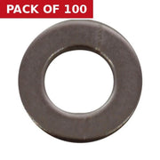 M6 SS Flat Washers   (100)